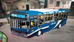 Colectivo Linea 124